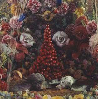 Untitled (Natural Wonder Series)
