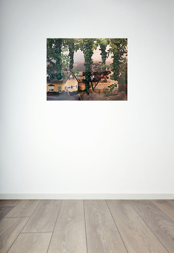 Untitled (Natural Wonder Series)