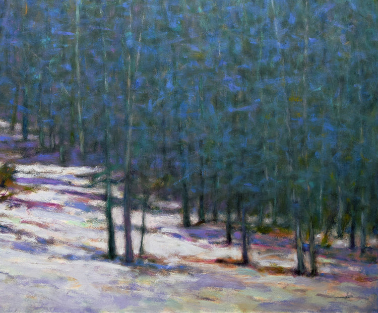 Found Colors at the Snows Edge II