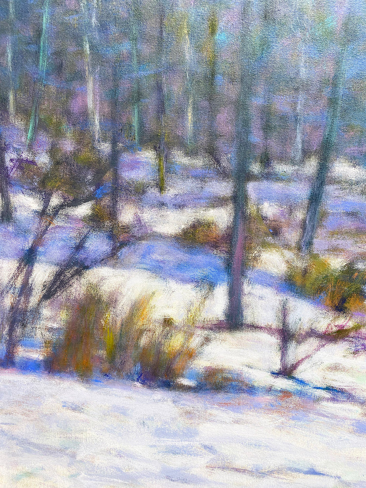 Found Colors at the Snows Edge II