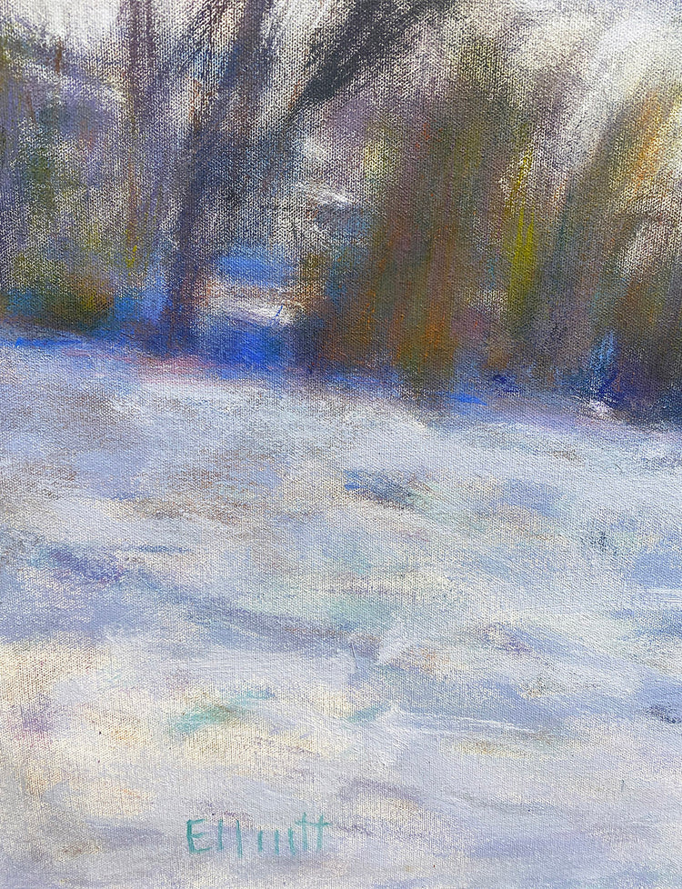 Found Colors at the Snows Edge II