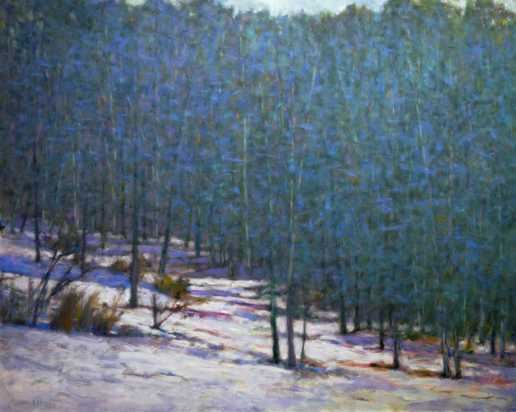 Found Colors at the Snows Edge II