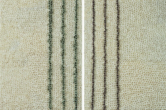 Latitude Right and Left (diptych)