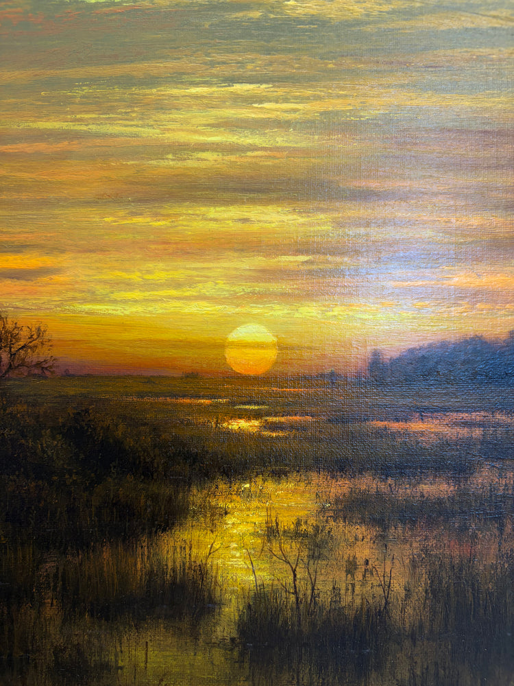 Within Everglades-Sunset