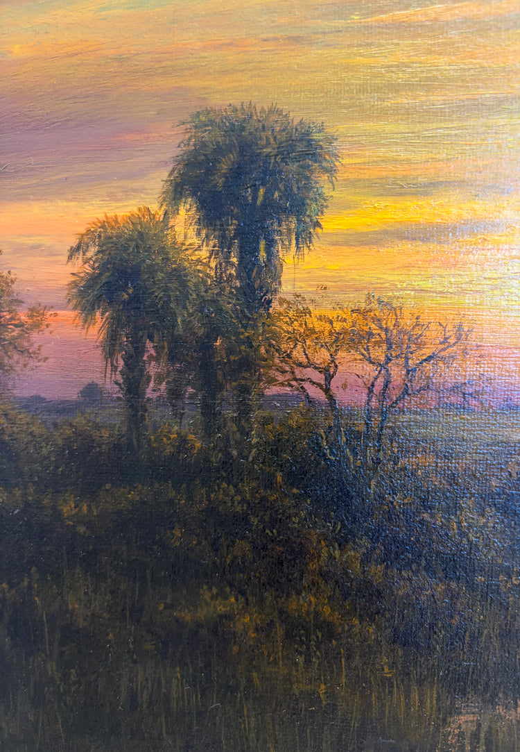 Within Everglades-Sunset