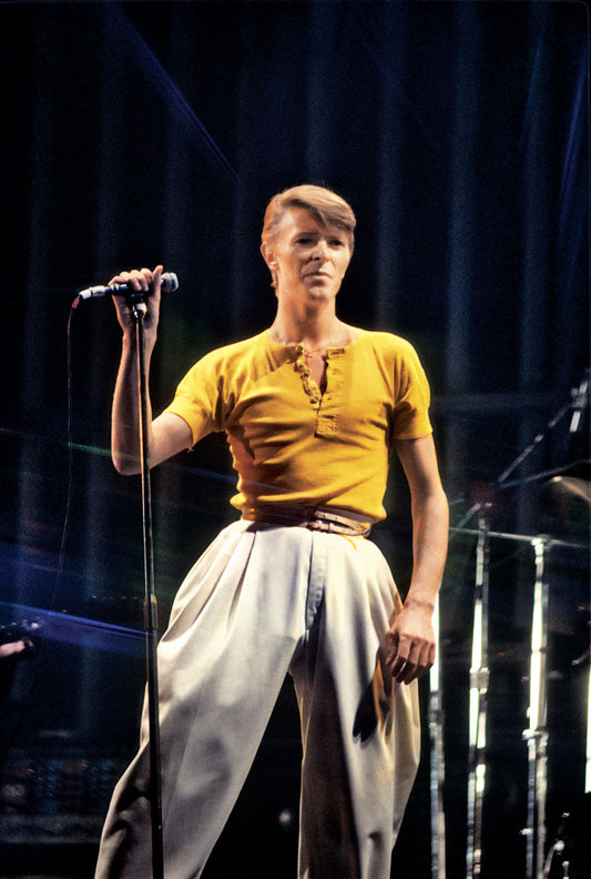 David Bowie, Spectrum